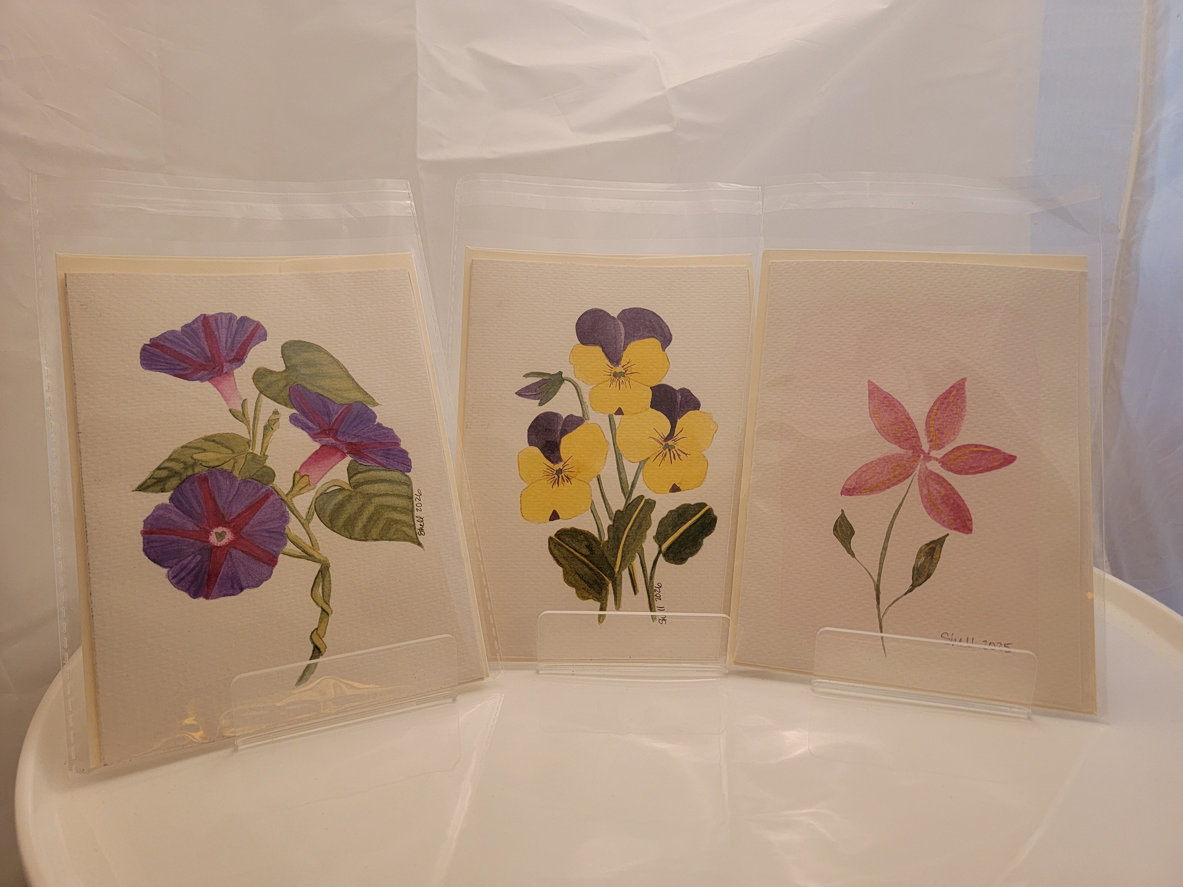 Vibrant Flowers