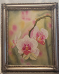 Framed Orchid