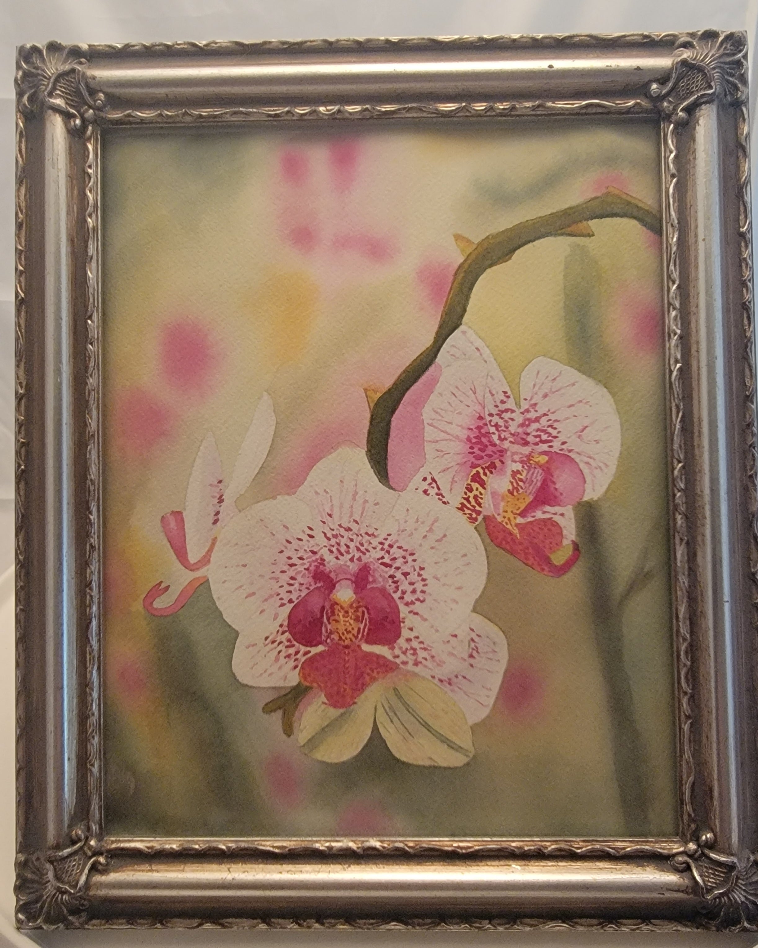 Framed Orchid