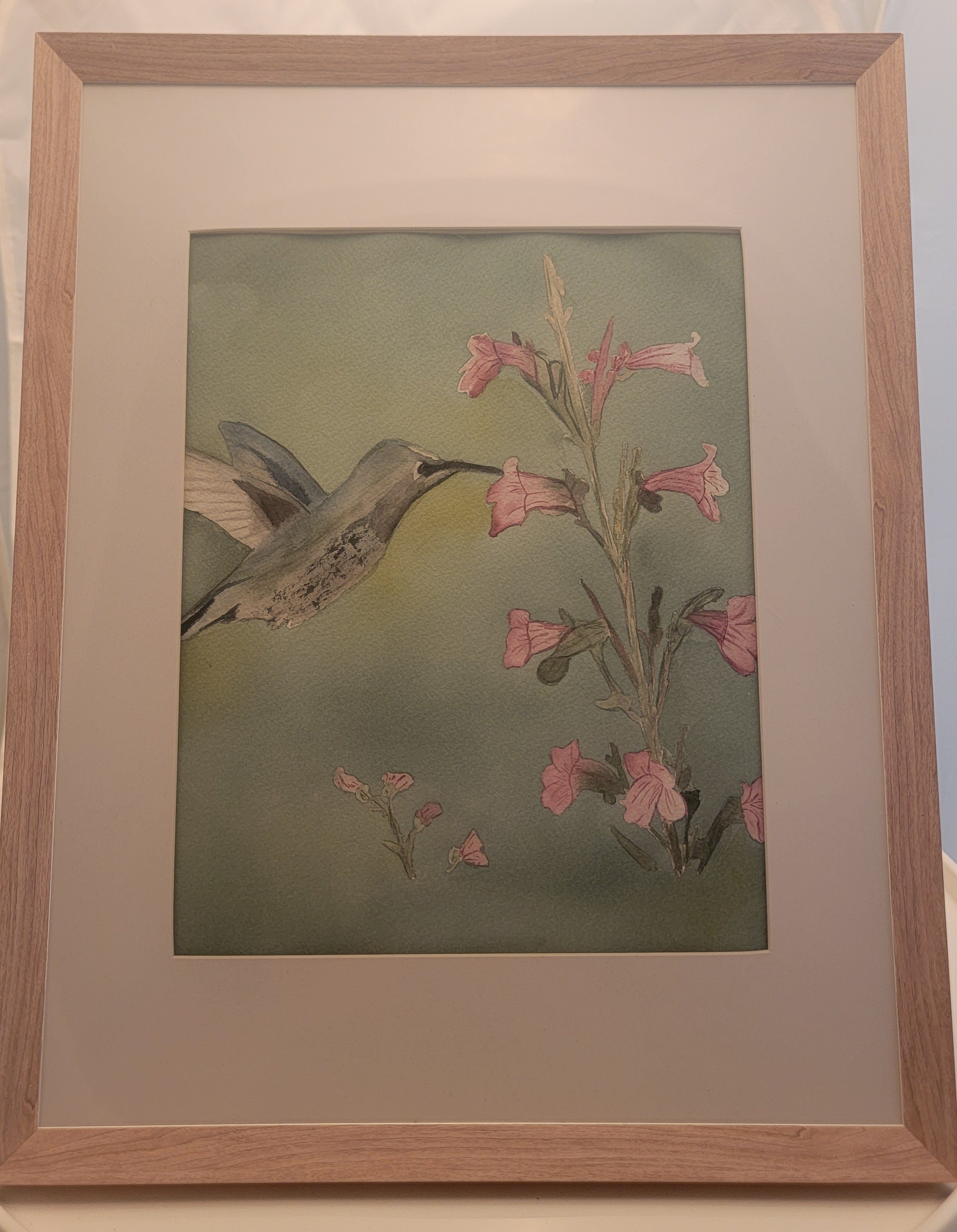 Framed Humingbird